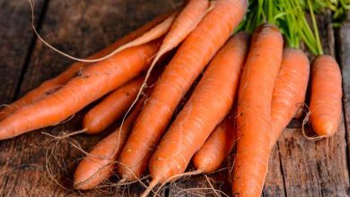 بهترین روش نگهداری هویج در یخچال و فریزر + نکات کلیدی