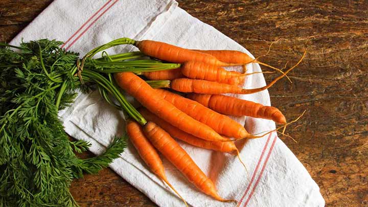 نگهداری بلند مدت هویج