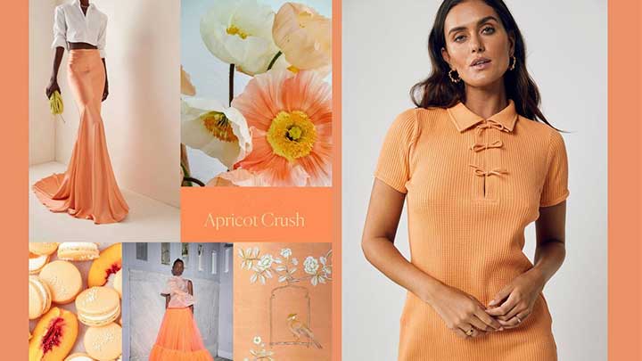 سال ۱۴۰۳ چه رنگهایی را با هم ست کنیم؟ سال ۱۴۰۳ چه رنگهایی را با هم ست کنیم؟