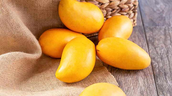 4 خاصیت شگفتانگیز انبه برای رحم! 4 خاصیت شگفتانگیز انبه برای رحم!