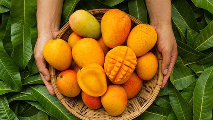 مهمترین خواص انبه برای زنان مهمترین خواص انبه برای زنان