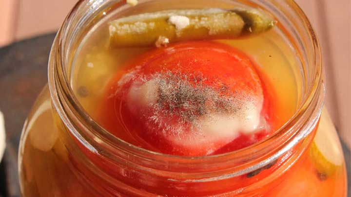 با ترفندهای کپک نزدن ترشی آشنا شوید