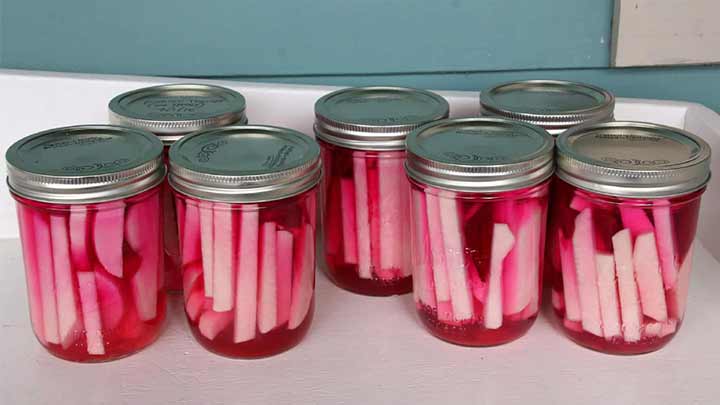 نکات و فوت و فنهای طرز تهیه ترشی شلغم نکات و فوت و فنهای طرز تهیه ترشی شلغم