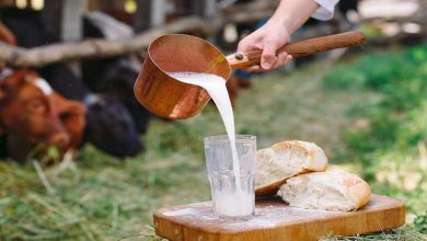 بهترین روش نگهداری شیر خام در طولانی مدت
