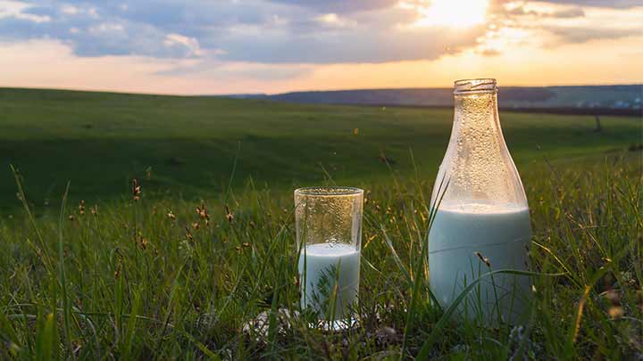 نکاتی برای نگهداری طولانی مدت شیر