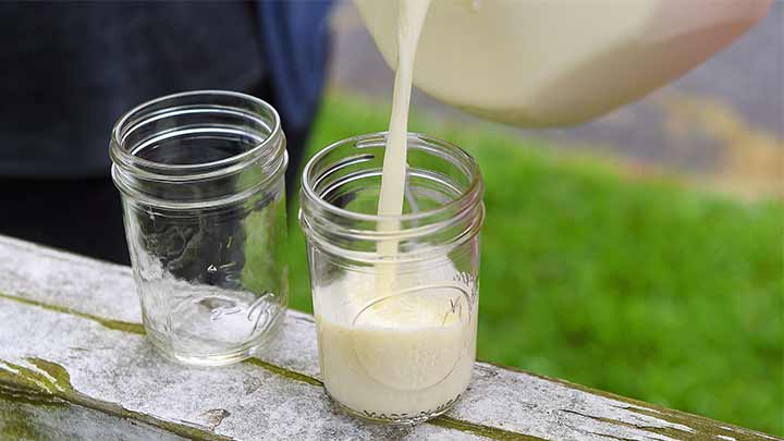 روش نگهداری شیر خام؛ یک نوشیدنی طبیعی و سالم