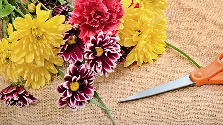 10 روش طلایی برای افزایش ماندگاری گل طبیعی در خانه 10 روش طلایی برای افزایش ماندگاری گل طبیعی در خانه