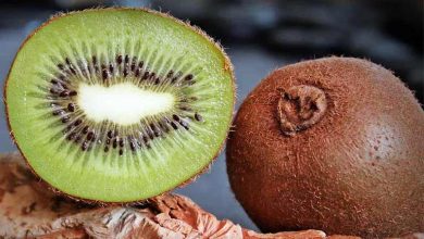 چگونه از کیوی به مدت طولانی نگهداری کنیم؟