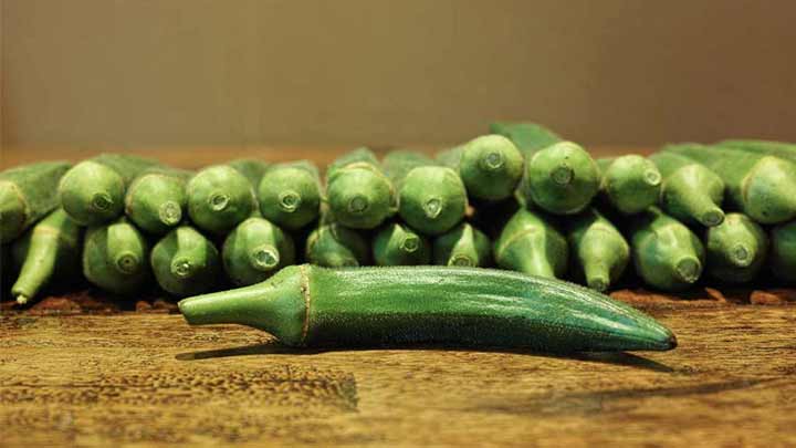 مراحل خشک کردن بامیه مراحل خشک کردن بامیه