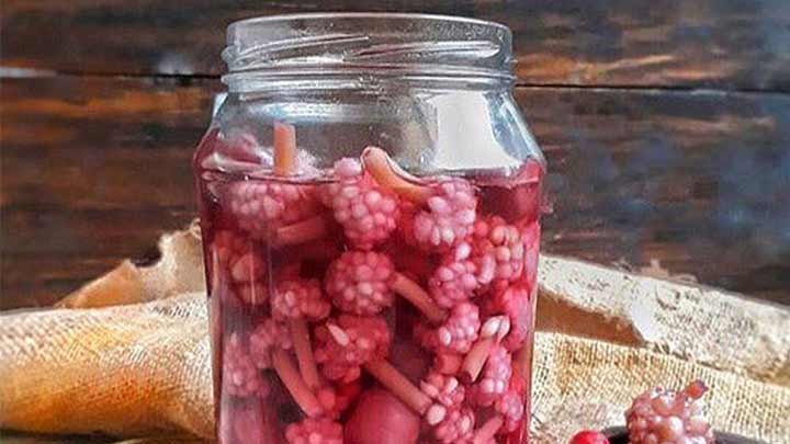 مراحل تهیه ترشی گل سیر با آب انار مراحل تهیه ترشی گل سیر با آب انار