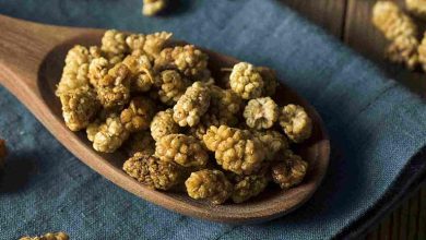 خواص توت خشک برای لاغری چیست؟