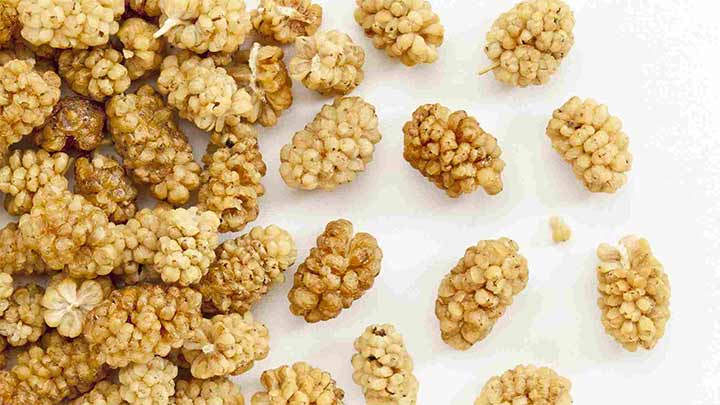 فواید خوردن توت خشک ناشتا چیست؟ فواید خوردن توت خشک ناشتا چیست؟