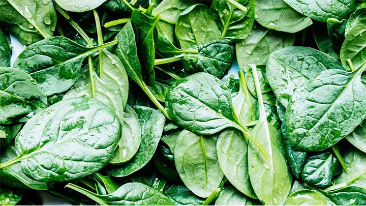 تقویت سیستم ایمنی بدن از جمله خواص اسفناج برای مردان