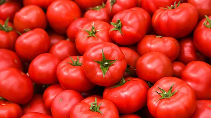 با مهمترین خواص گوجه فرنگی برای سلامتی آشنا شوید! با مهمترین خواص گوجه فرنگی برای سلامتی آشنا شوید!