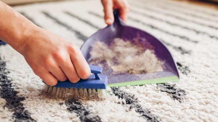 ۷ روش کاربردی برای جمع کردن و از بین بردن کرک و مو از روی موکت ۷ روش کاربردی برای جمع کردن و از بین بردن کرک و مو از روی موکت
