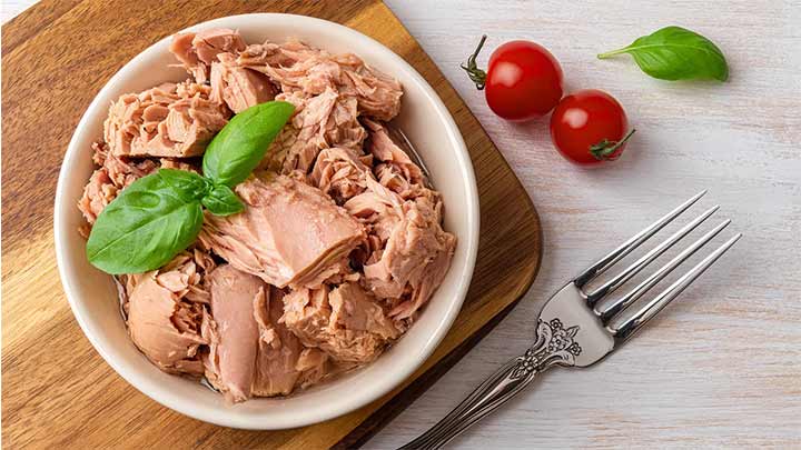 نکات مهم و کلیدی در نگهداری از گوشت تن ماهی نکات مهم و کلیدی در نگهداری از گوشت تن ماهی