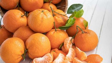 معرفی 12 روش برای نگهداری نارنگی به مدت طولانی