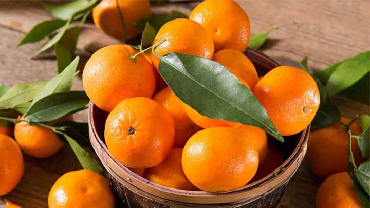 فریز کردن نارنگی برای نگهداری طولانی مدت آن