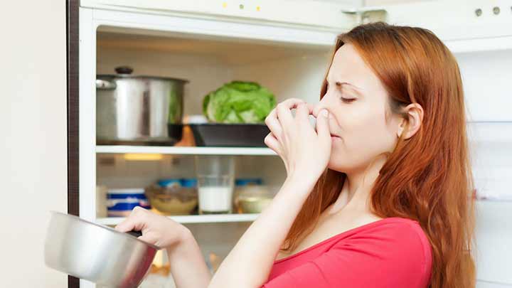 علت بوی بد یخچال چیست؟