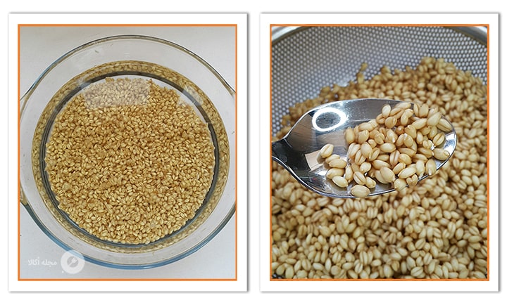 گندم باید خیس بخورد و جوانه بزند برای پودر جوانه گندم