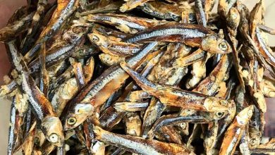 طرز تهیه مهیاوه با ماهی خشک؛ به روش سنتی هرمزگان