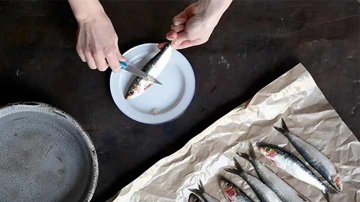 طرز تهیه مهیاوه با پودر ماهی طرز تهیه مهیاوه با پودر ماهی