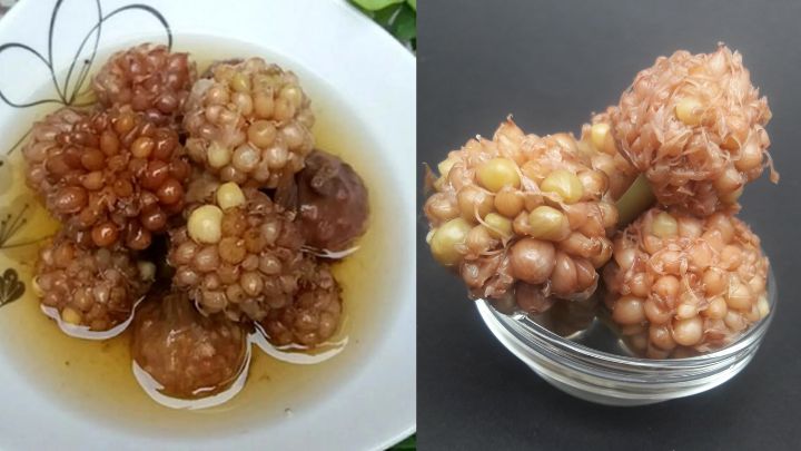 چند فوت و فن کوزهگری در طرز تهیه ترشی گل سیر چند فوت و فن کوزهگری در طرز تهیه ترشی گل سیر