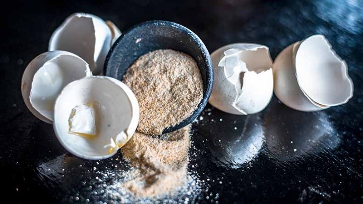 درمان زخم معده از خواص شگفت‌انگیز پوست تخم مرغ