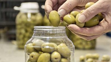 بهترین روش‌‌های از بین بردن تلخی زیتون