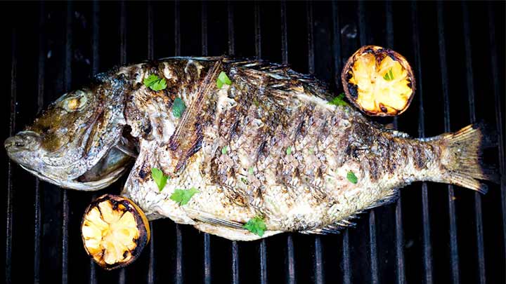 رسپی اصولی و سالم ماهی کبابی رسپی اصولی و سالم ماهی کبابی