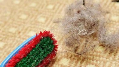 جمع کردن مو از روی موکت و فرش با 9 ترفند ساده