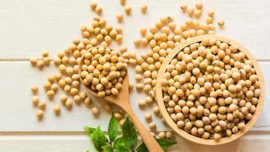 روش صحیح نگهداری سویا