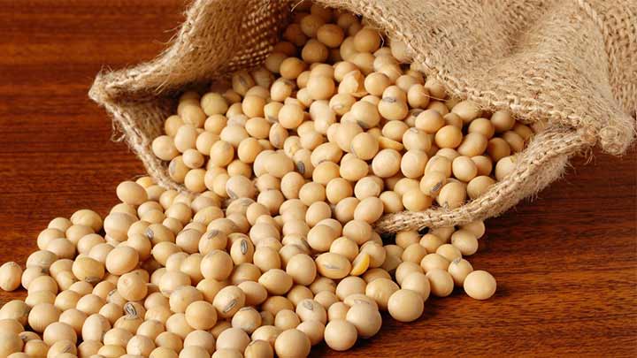 ترفندهای اصولی نگهداری از سویا