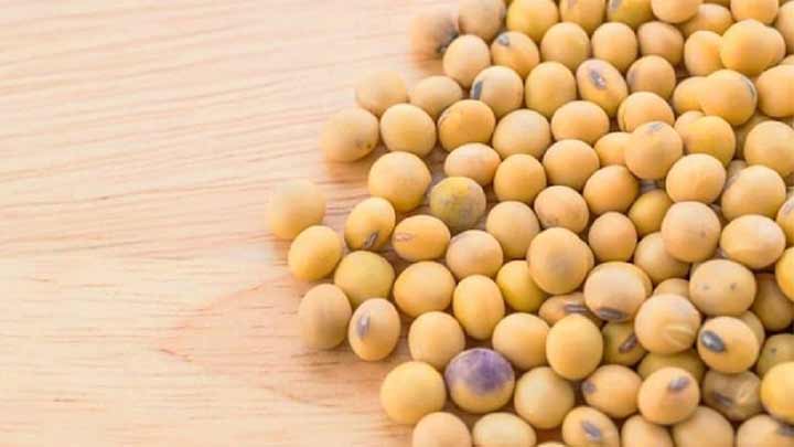 روغن سویا را در کجا نگهداری کنیم؟