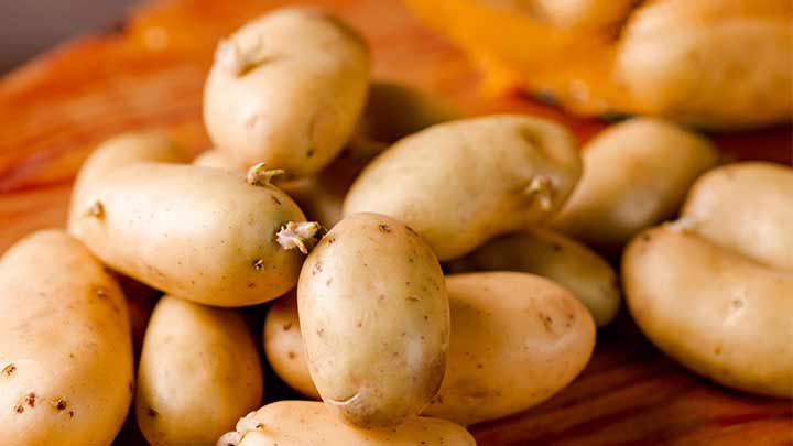 عوارض مصرف سیب زمینی جوانه زده عوارض مصرف سیب زمینی جوانه زده