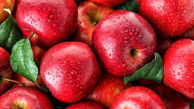 ترفندهای کاربردی برای انتخاب و نگهداری طولانی‌تر سیب