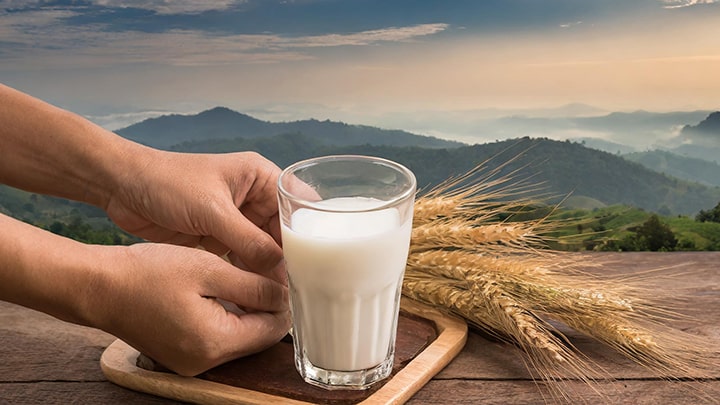 توجه به دمای شیر برای نگهداری صحیح شیر لبنی