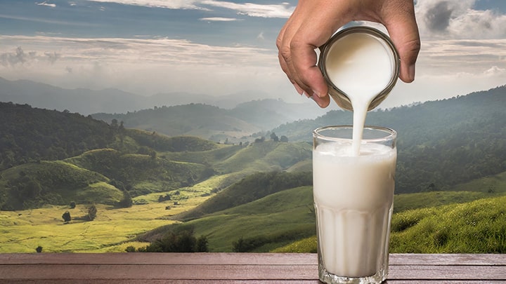 جوشاندن شیر برای روش صحیح استفاده از شیر