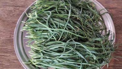 طرز تهیه گندله قورماسی؛ از غذاهای سنتی و محلی ارومیه