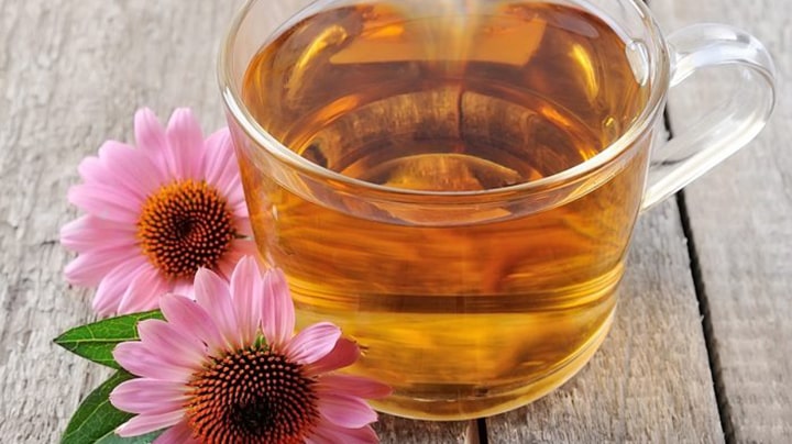 دمنوش اکیناسه برای سرماخوردگی