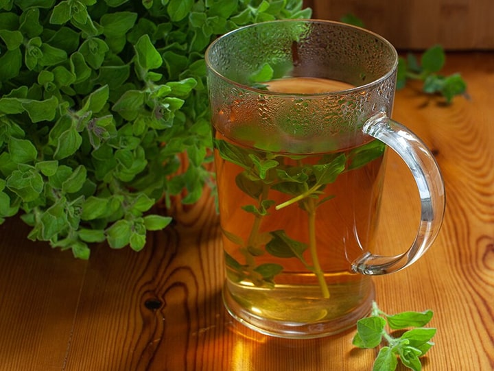 دمنوش پونه برای سرماخوردگی