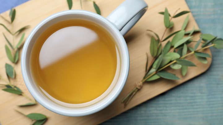 دمنوش اکالیپتوس برای سرماخوردگی