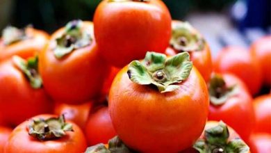 شگردهایی برای نگهداری و ماندگاری طولانی‌تر خرمالو