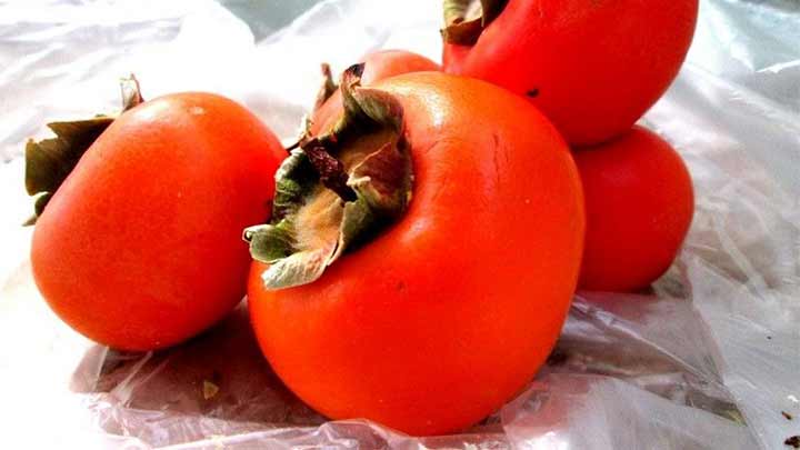 شرایط نگهداری خرمالو در سردخانه شرایط نگهداری خرمالو در سردخانه