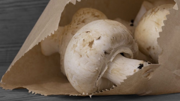 قارچ‌ها را در پاکت‌های کاغذی قرار دهید برای نگهداری طولانی مدت