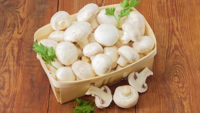 8 ترفند نگه داری قارچ در یخچال برای مدت زمان طولانی