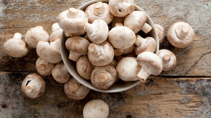 روی قارچ ها در یخچال سلفون بکشید برای ماندن طولانی قارچ