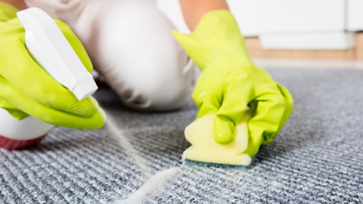 از بین بردن لکه شیر از فرش از بین بردن لکه شیر از فرش