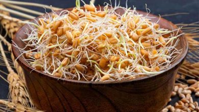 چاق شدن صورت با جوانه گندم + شیوه مصرف