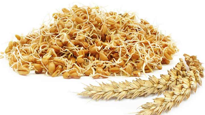 جوانه گندم و فواید آن در افزایش حجم صورت جوانه گندم و فواید آن در افزایش حجم صورت
